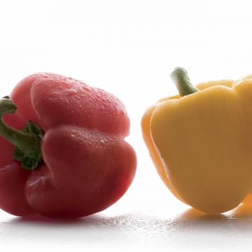 refrigeration-equipment-banner-1